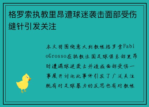 格罗索执教里昂遭球迷袭击面部受伤缝针引发关注